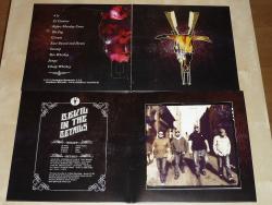 LP HOGJAW - Devil In The Details