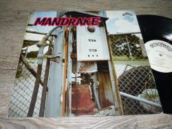 LP MANDRAKE