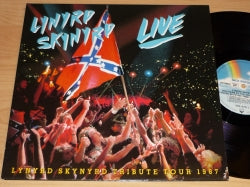 2 LPs LYNYRD SKYNYRD - Southern By The Grace Of God LIVE