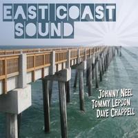 CD JOHNNY NEEL (Allman Brothers) - East Coast Sound